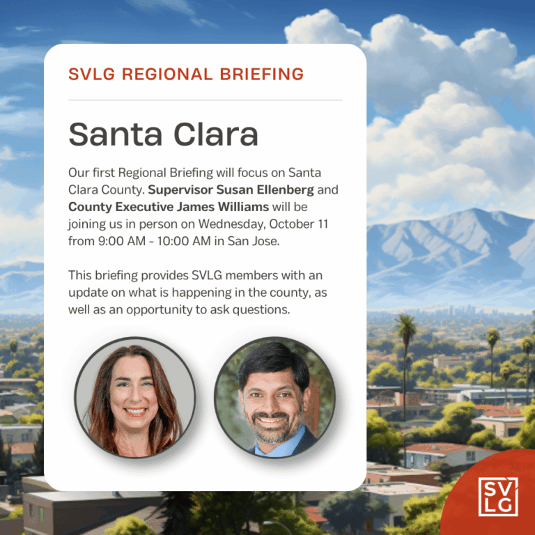 Svlg Regional Briefing 1.png